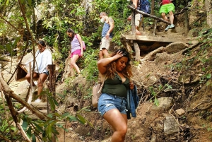 Puerto Vallarta: Caminata de 4 horas por la selva y baño en la cascada