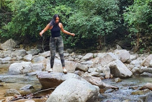 Puerto Vallarta: Caminata de 4 horas por la selva y baño en la cascada