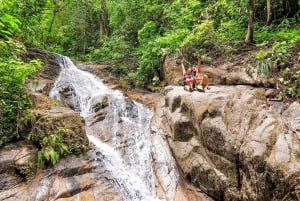 Puerto Vallarta: All Terrain Safari RZR Tour