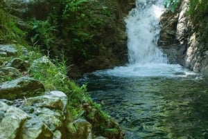 Puerto Vallarta: ATV Río Cuale