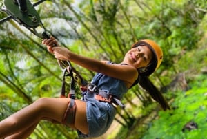 Puerto Vallarta: ATV + Tirolina Nogalito