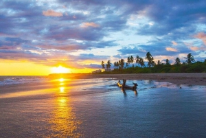 Puerto Vallarta: Viaje a la Playa con Comida de Pescado Zarandeado