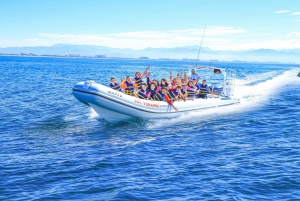 Puerto Vallarta: Canopy Tour with Zipline and Speedboat Ride