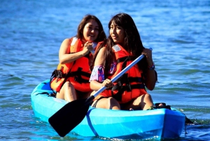 Puerto Vallarta: Crucero en Catamarán con Snorkel y Comida