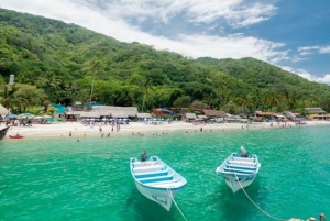 Puerto Vallarta: Crucero en Catamarán con Snorkel y Comida