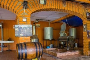 Puerto Vallarta: City and Tequila Tour with Tasting