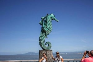 Puerto Vallarta: City and Tequila Tour with Tasting