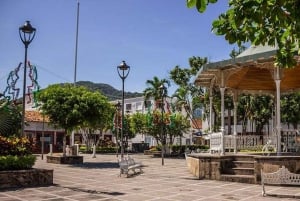 Puerto Vallarta: City and Tequila Tour with Tasting