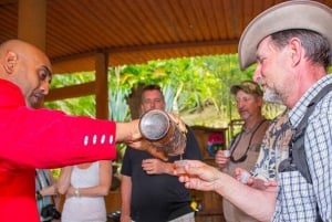 Puerto Vallarta: City and Tequila Tour with Tasting