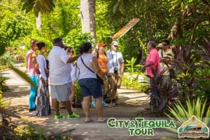 Puerto Vallarta: City and Tequila Tour with Tasting