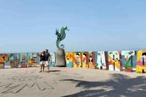 Puerto Vallarta: City and Tequila Tour with Tasting