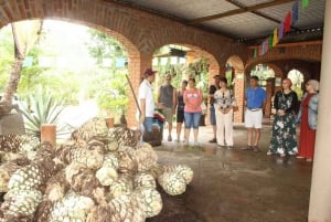 Puerto Vallarta: tour, tequila y fábrica de café