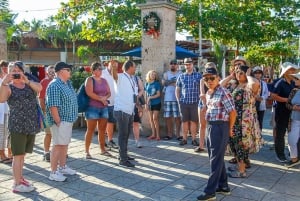 Puerto Vallarta: Tour de la ciudad