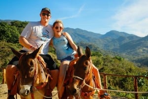 Puerto Vallarta: Combo Aventura ATV, Tirolina y Paseo en Mula