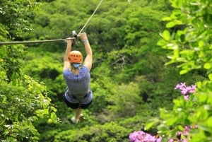 Puerto Vallarta: Aventura Combo RZR + Canopy + Mulas