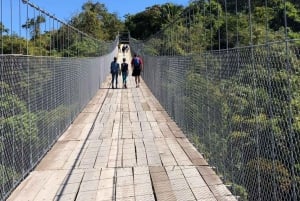 Cristal ViewPoint Tour a pie -Puerto Vallarta