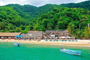 Puerto Vallarta: Crucero, Desayuno, Comida y Barra Libre a Bordo