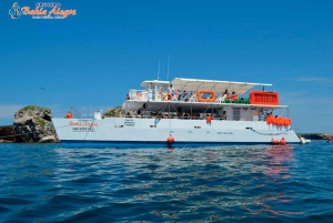 Puerto Vallarta: Cruise, Breakfast, Lunch & Open Bar Onboard