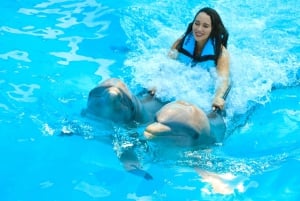 Puerto Vallarta: Dolphin Swimming and Aquaventuras Park