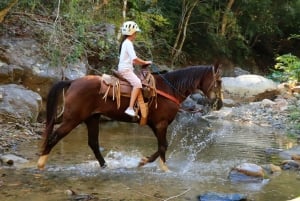 Puerto Vallarta: Cabalgata Cascada El Salto