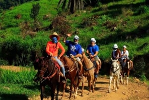 Puerto Vallarta: Cabalgata Cascada El Salto