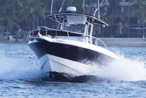 Puerto Vallarta: Pesca Cachi I 28′