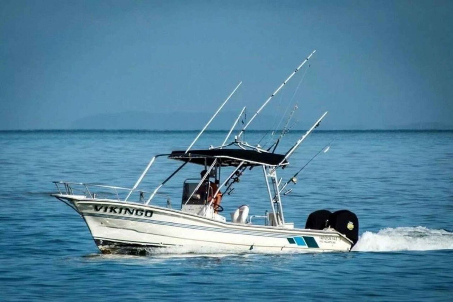 Puerto Vallarta: Charter de Pesca