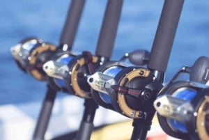 Puerto Vallarta: Pesca Lucky I 28′