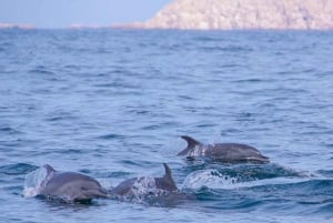 Puerto Vallarta: Descubre la Playa Oculta