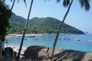 Puerto Vallarta: Playas Escondidas y Aventuras en el Mar