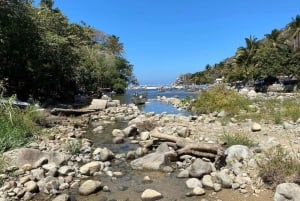 Puerto Vallarta: Aventura de senderismo a Las Animas