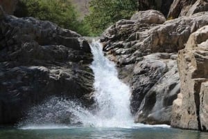 Puerto Vallarta: Excursión de Senderismo al Mirador de Cristal Jorullo