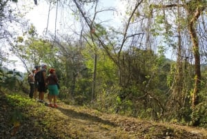 Puerto Vallarta: Excursión de Senderismo al Mirador de Cristal Jorullo