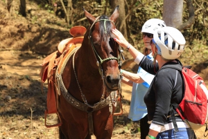 Puerto Vallarta: Horseback Ride Followed by Tequila Tasting