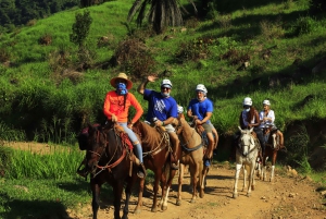 Puerto Vallarta: Horseback Ride Followed by Tequila Tasting