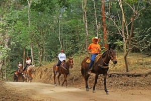 Puerto Vallarta: Aventura a caballo en Canopy River