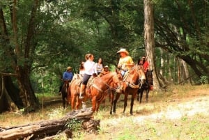 Puerto Vallarta: Aventura a caballo en Canopy River