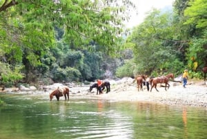 Puerto Vallarta: Aventura a caballo en Canopy River