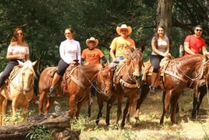 Puerto Vallarta: Aventura a caballo en Canopy River