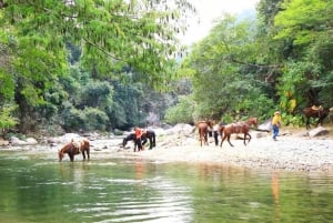 Puerto Vallarta: Aventura a caballo en Canopy River