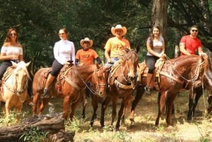 Puerto Vallarta: Aventura a caballo en Canopy River