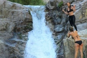 Puerto Vallarta: Aventura a caballo en Canopy River