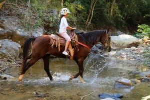 Puerto Vallarta: Paseos a Caballo + Pase Puente Jorullo