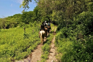 Puerto Vallarta Horseback Riding