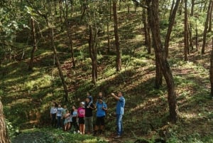 Puerto Vallarta: Aventura de senderismo en el Paraíso del Jorullo