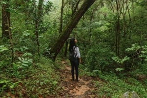 Puerto Vallarta: Aventura de senderismo en el Paraíso del Jorullo