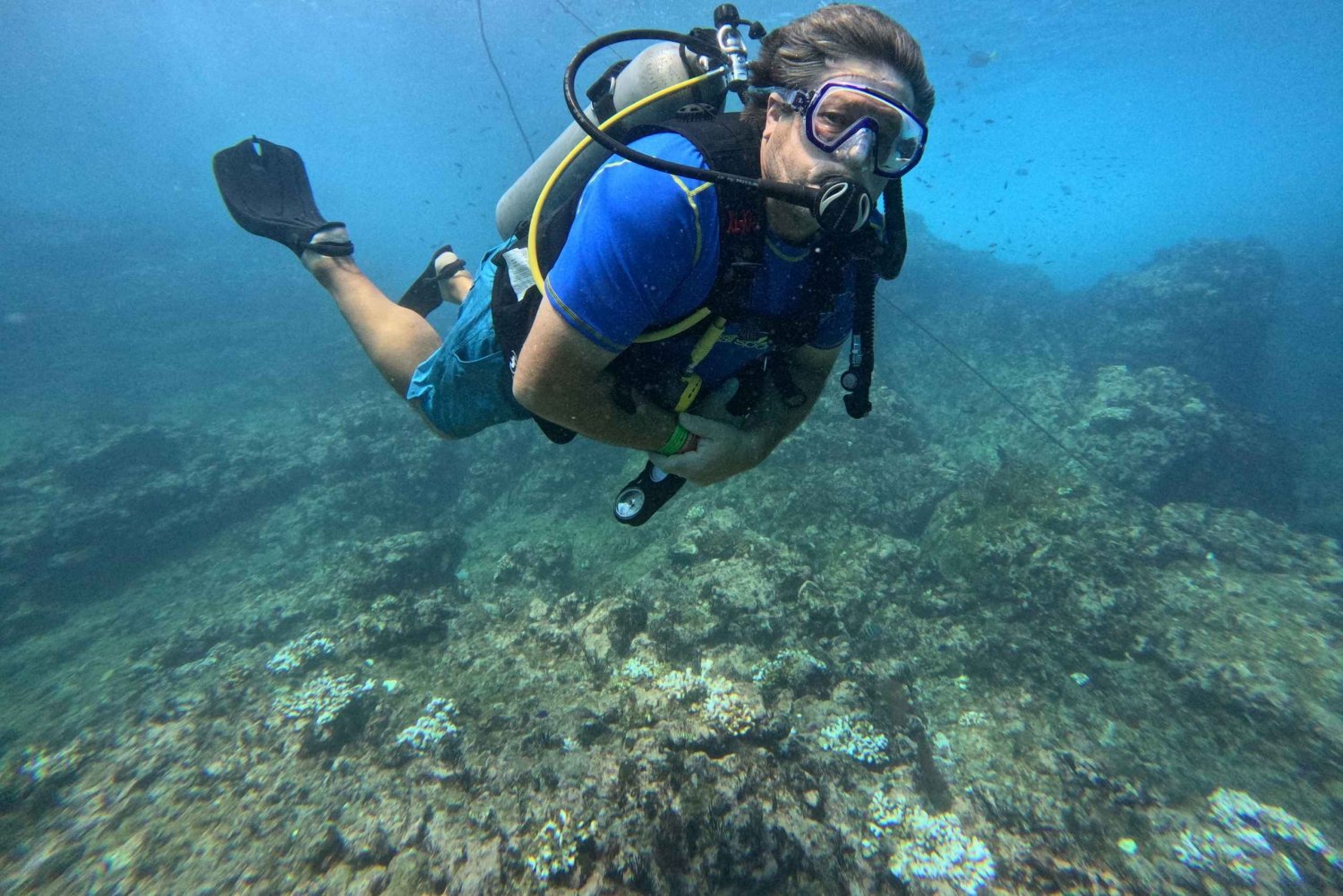 Puerto Vallarta: Expedición de buceo La Corbeteña