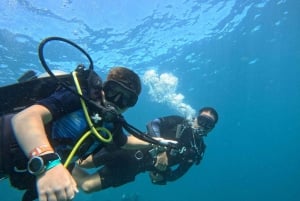 Puerto Vallarta: Expedición de buceo La Corbeteña