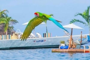 Puerto Vallarta: Escondite en la playa de Las Caletas