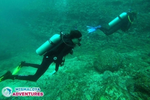 Puerto Vallarta: Los Arcos de Mismaloya, buceo para principiantes.